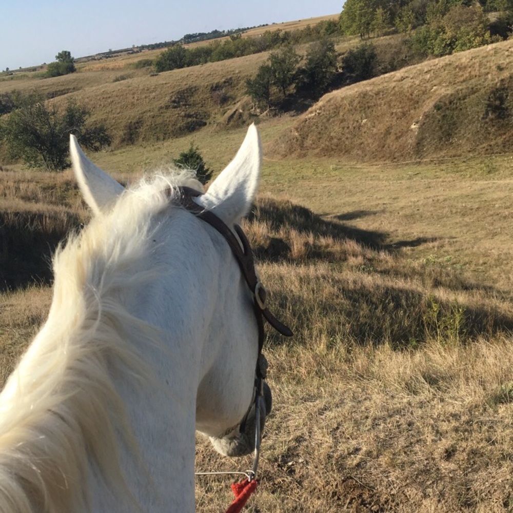 Meet your Posher, Jamie